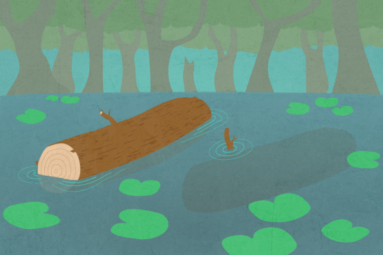 Illustration of two logs in a pond