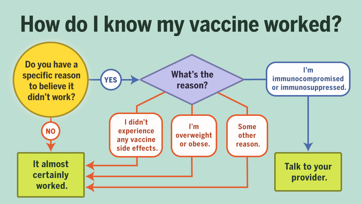 did vaccine work2