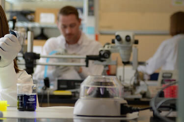 Photo of three people working an a laboratory