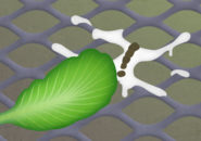 Illustration of lettuce leaf next to bird excrement