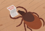 Illustration of a tick reading an eviction notice