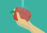 Illustration of hand holding a large red bell pepper under running water